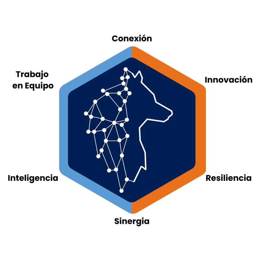 Mikon Insights Hexagon